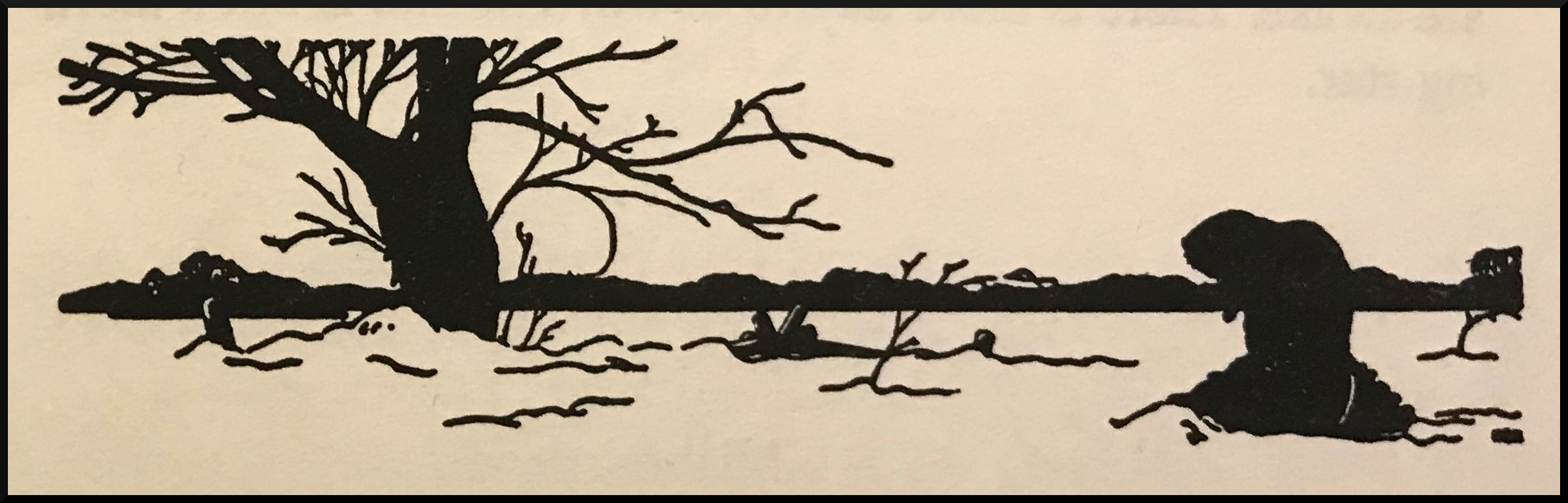 Henry B. Kane's woodcut image of a muskrat