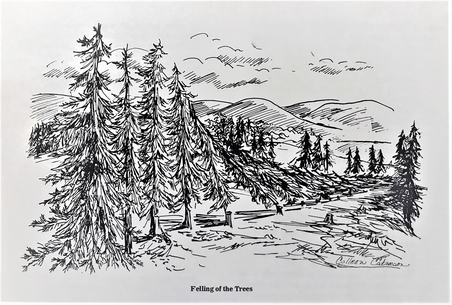 Felling of the Trees by Colleen Caterson