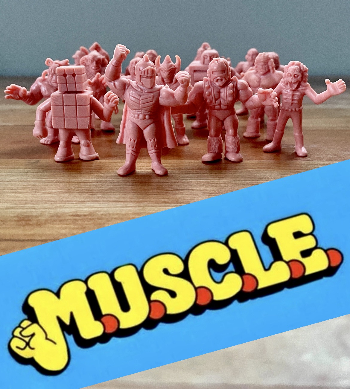 Collecting MUSCLEs in the 1980s – The White Whale